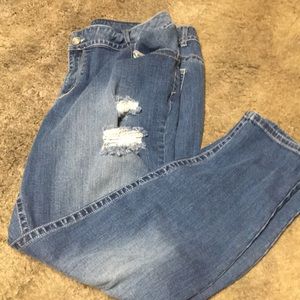 Lane Bryant Skinny Jeans.